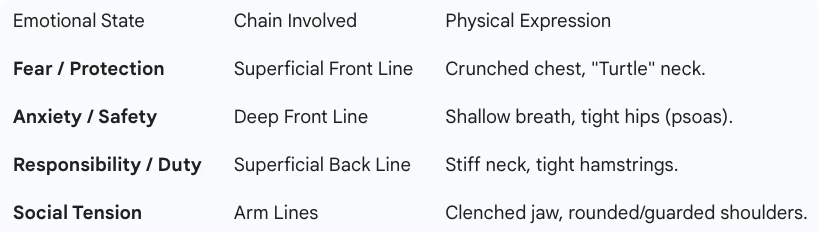 Psychology of Anatomy Chains