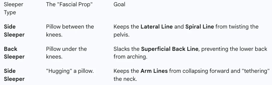 sleeping in anatomy chain friendly positions